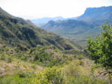 IMG_5417.JPG